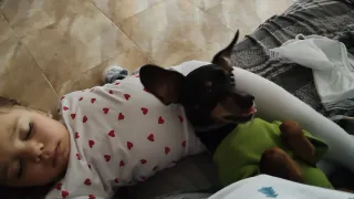 Cuidadora de animales en mi casa