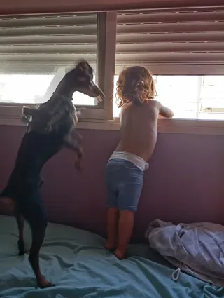 Cuidadora de animales en mi casa