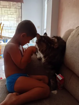 Cuidadora de animales en mi casa