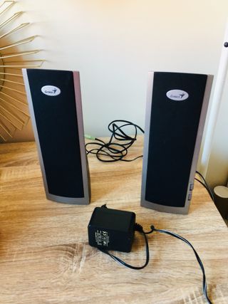 Altavoces Genius Negro/Gris