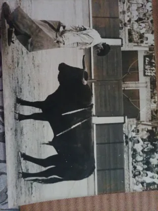 Foto de corrida de toros