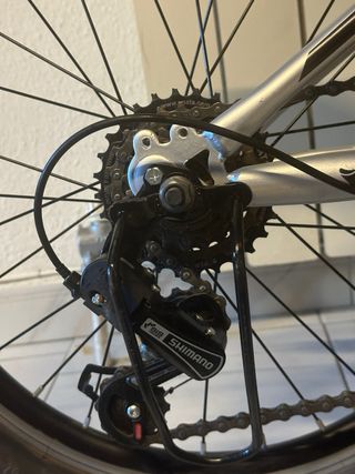 Bicicleta Infantil 20 Pulgadas