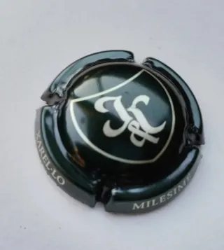 CAVA JUVE CAMPS XAREL·LO MILESIME, CHAPA