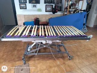 Cama articulada profesional