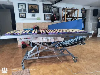 Cama articulada profesional