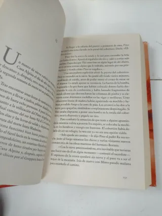 Bajo un cielo escarlata