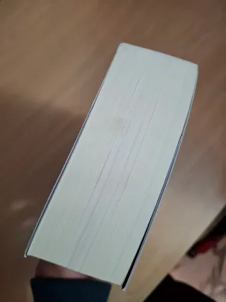 Una sombra en las brasas (Spanish Edition)