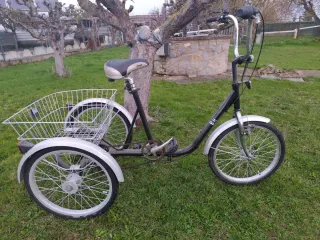 Triciclo con cesta