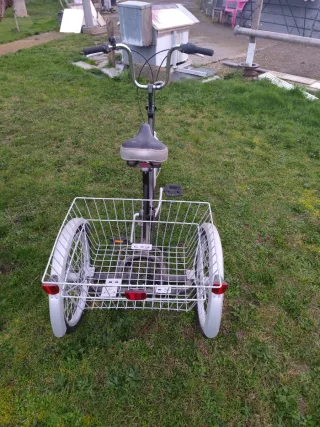 Triciclo con cesta
