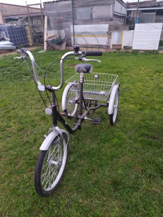 Triciclo con cesta