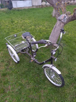 Triciclo con cesta