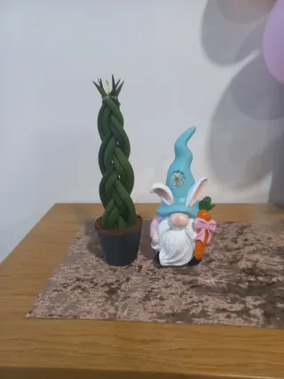 Sansevieria cylindrica trançada