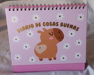 DIARIO DE COSAS BUENAS