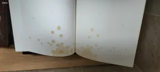 Libros historia de Asturias leer descripción