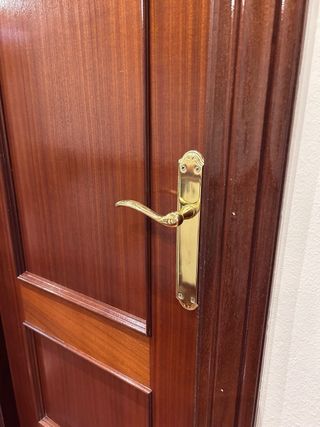 Lote 9 puertas interiores de Sapelly