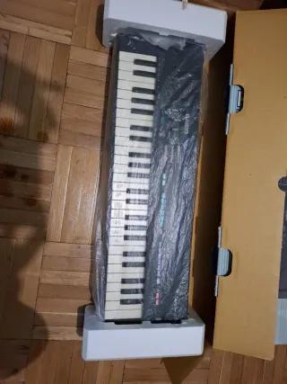 Teclado Casio Casiotone MT-110