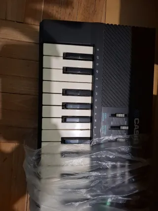Teclado Casio Casiotone MT-110