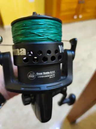 Equipo completo pesca siluro