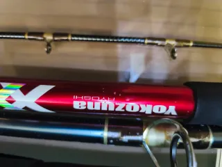 Equipo pesca siluro Yokozama Y Avía