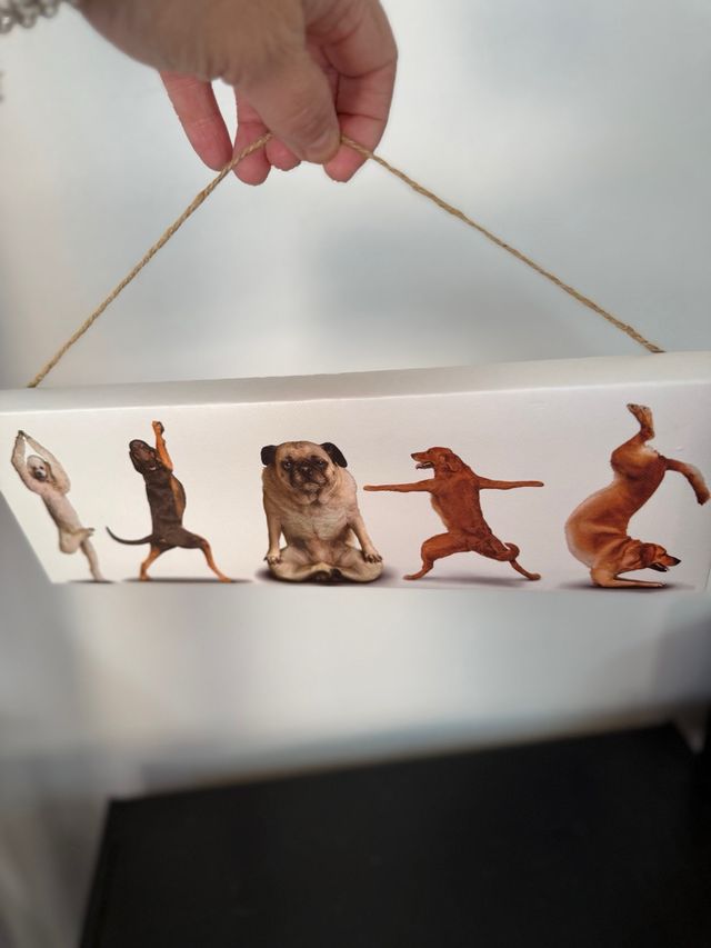 Cuadro Rectangular Perritos Yoga