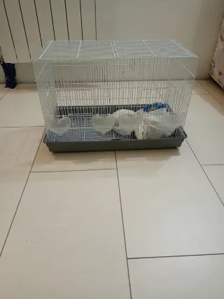 Gabbia per pappagalli ottime condizioni