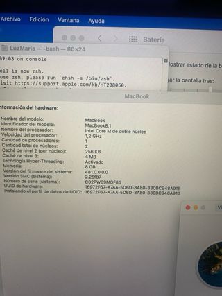 MacBook Retina 12 2015 Dorado