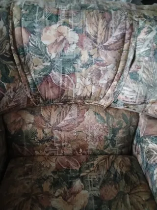 2 Sofás Individual Estilo Antiguo