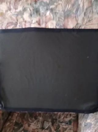 2 Sofás Individual Estilo Antiguo