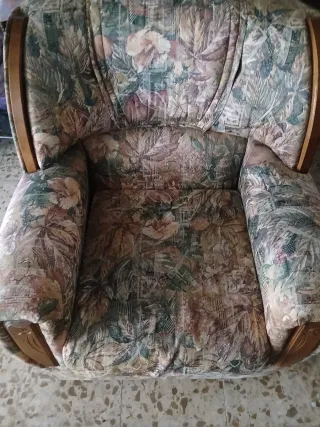 2 Sofás Individual Estilo Antiguo