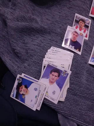 Cromos Panini Liga 93-94 73 cromos