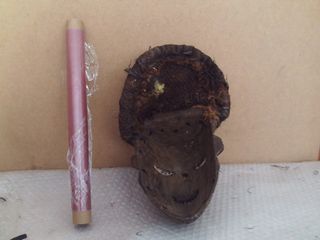 Máscara Africana Chorwe Congo Madera