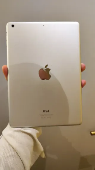 iPad Air 1ª Gen con funda y cargador