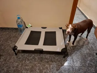 Cama para perros elevada gris