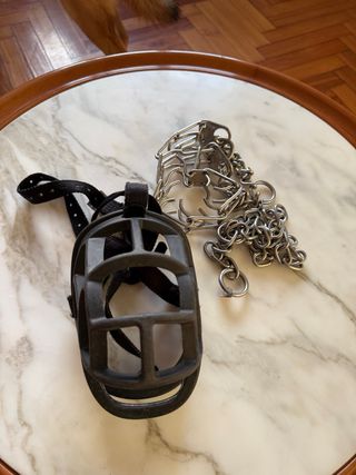 Bozal y cadena para perro