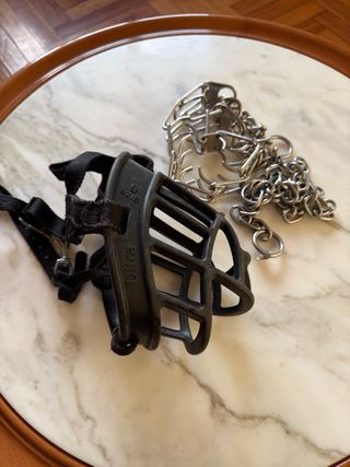 Bozal y cadena para perro