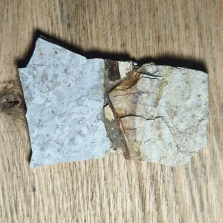 FOSIL DE PEZ EN PIEDRA