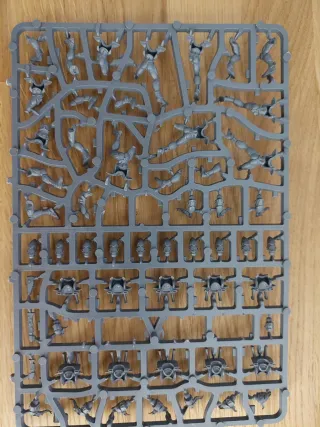 11 Guardian Defenders o Storm Guardians en matriz