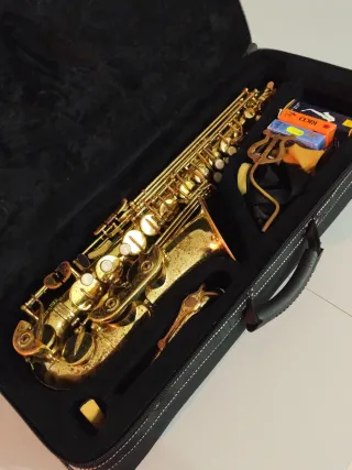 Sassofono Roy Benson AS 202 con accessori