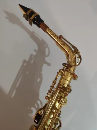 Sassofono Roy Benson AS 202 con accessori