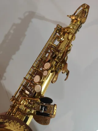 Sassofono Roy Benson AS 202 con accessori