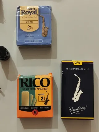 Sassofono Roy Benson AS 202 con accessori