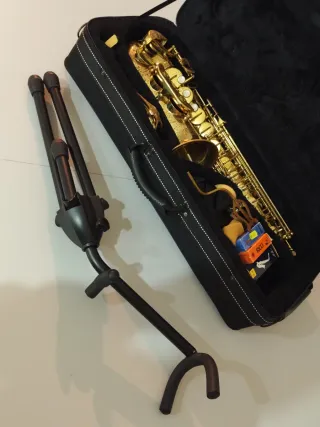 Sassofono Roy Benson AS 202 con accessori