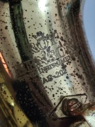 Sassofono Roy Benson AS 202 con accessori