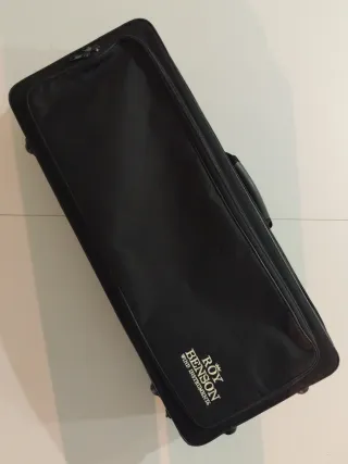 Sassofono Roy Benson AS 202 con accessori