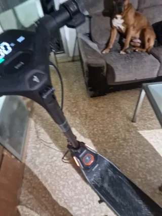 Patinete eléctrico Segway p65e