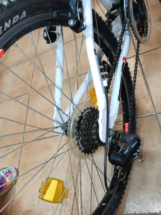 Bicicleta de Montaña WST Cosmo