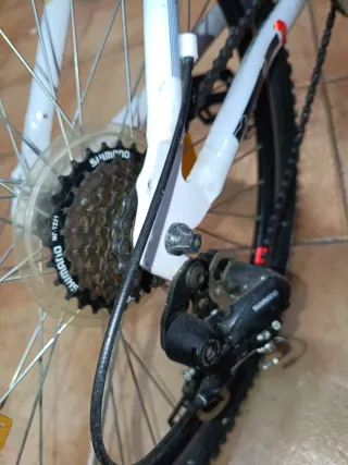 Bicicleta de Montaña WST Cosmo