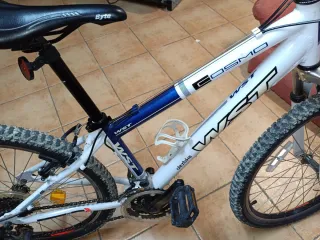 Bicicleta de Montaña WST Cosmo