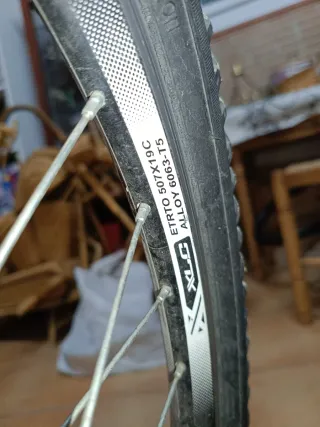 Bicicleta de Montaña WST Cosmo