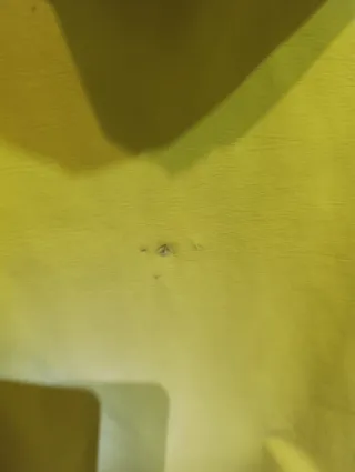 Giacca a vento bambino gialla